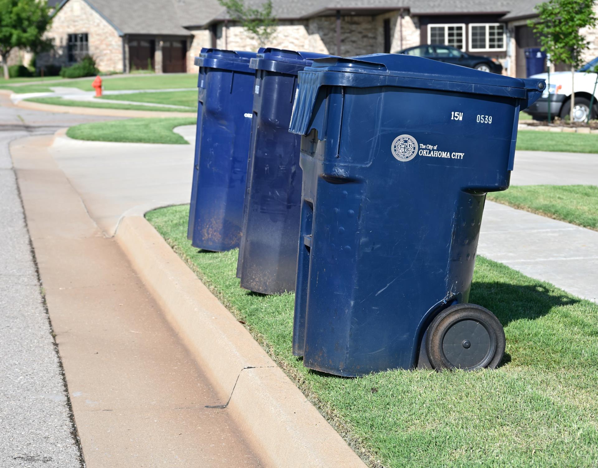 Big Blue Trash Bins