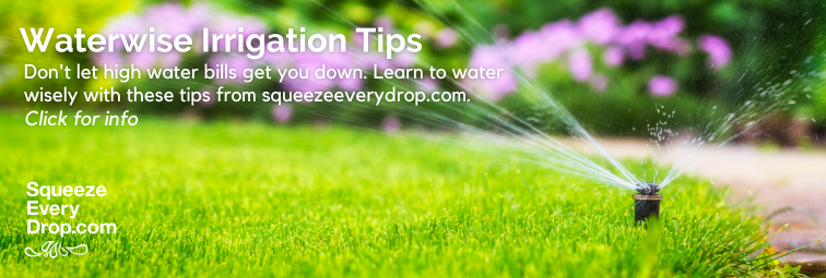 Summer Waterwise Tips