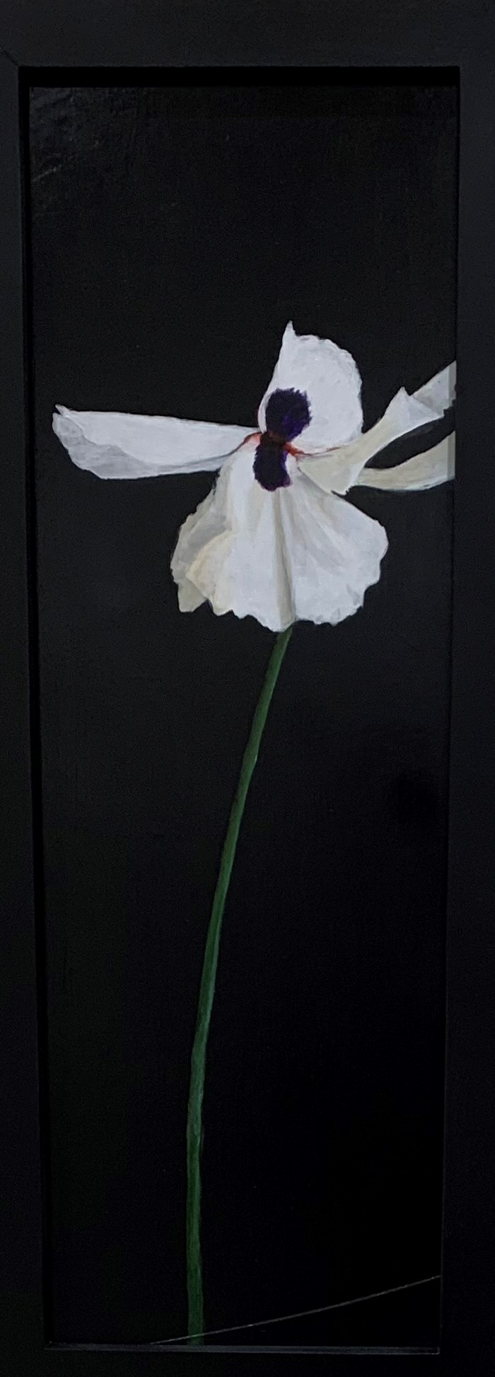 single iris painting titled Standing Alone