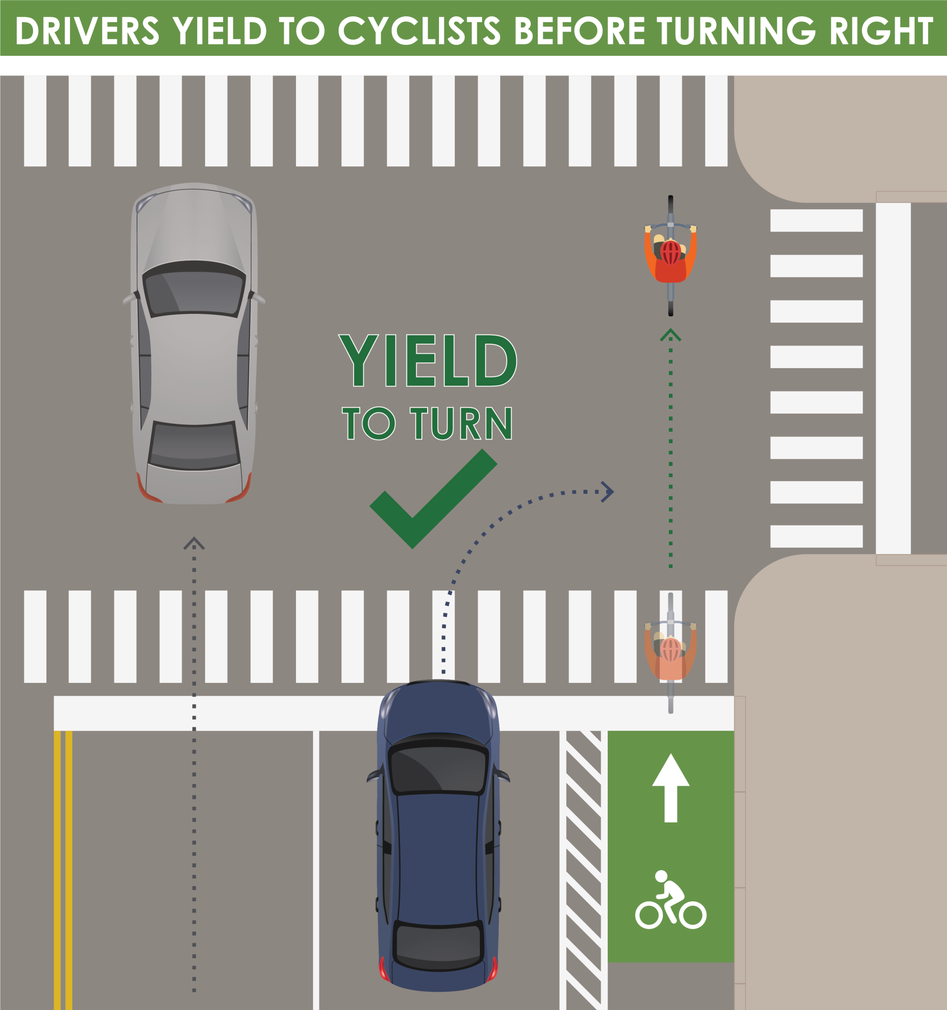 yield to cyclists before turning right