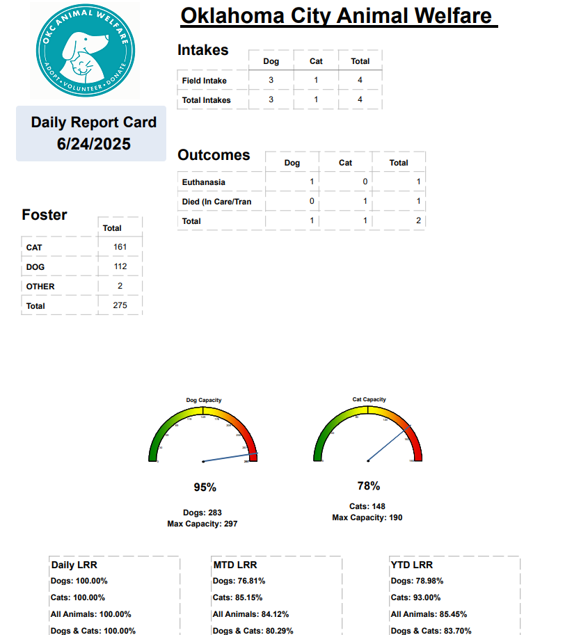 Report Card 2025-06-25