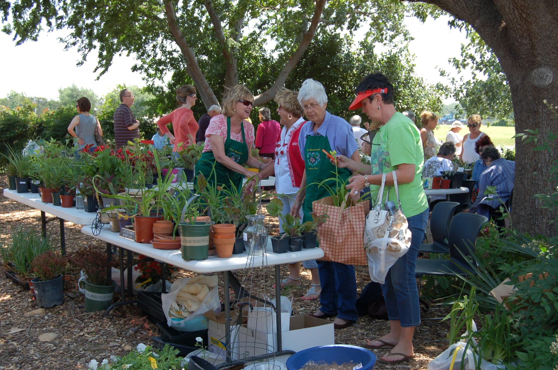 Visitors look at plants during Festival in the Park