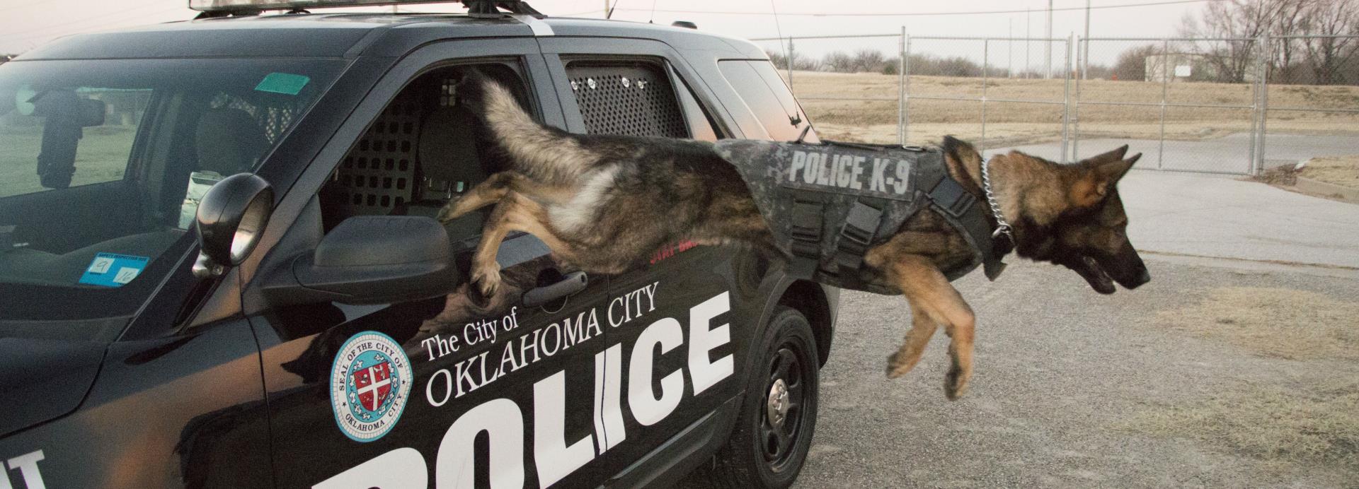 K9