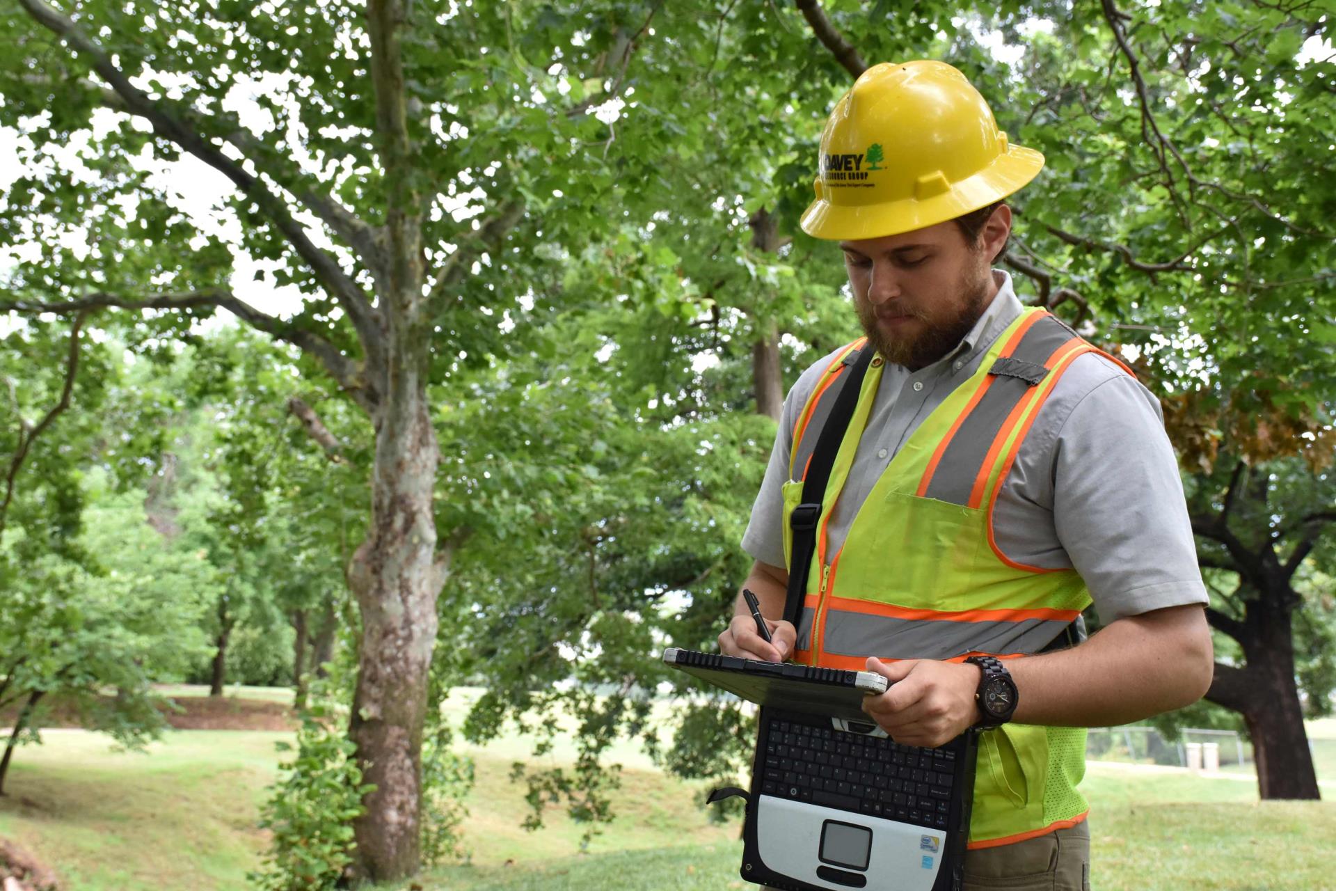 A forester takes down information about a park tree